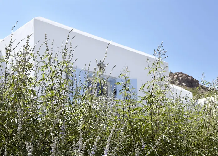 ホテル Mediterranean ステリダ