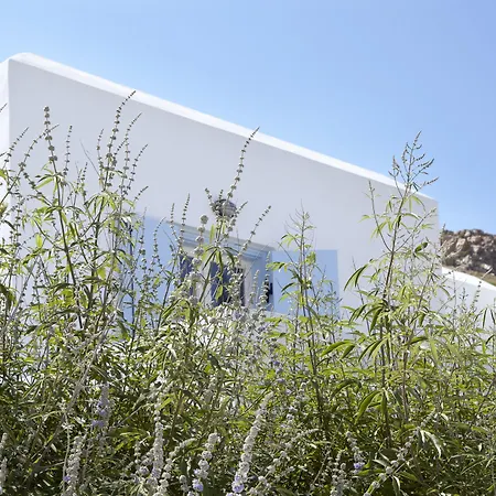 Hotel Mediterranean Stelida (Naxos)